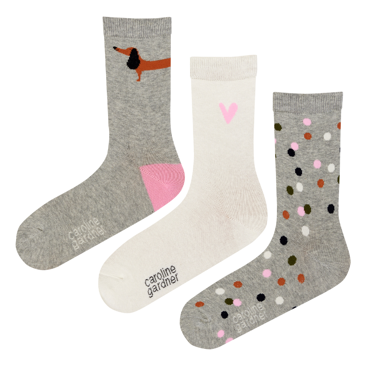 caroline gardner Socks ３足セット LLTG/DOG2