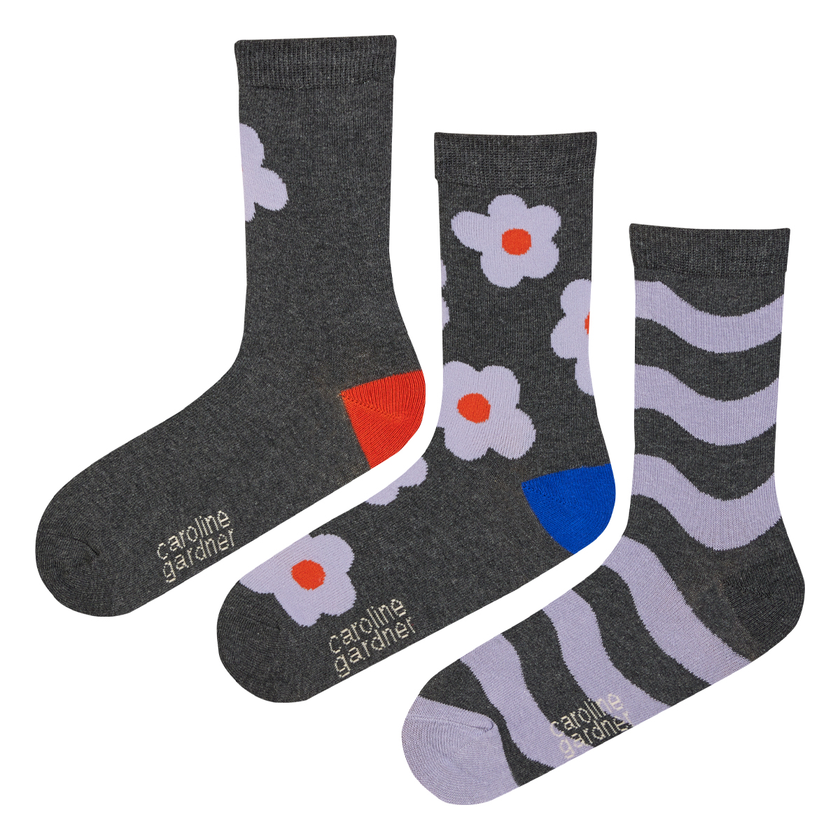 caroline gardner Socks ３足セット LCHA/Flower