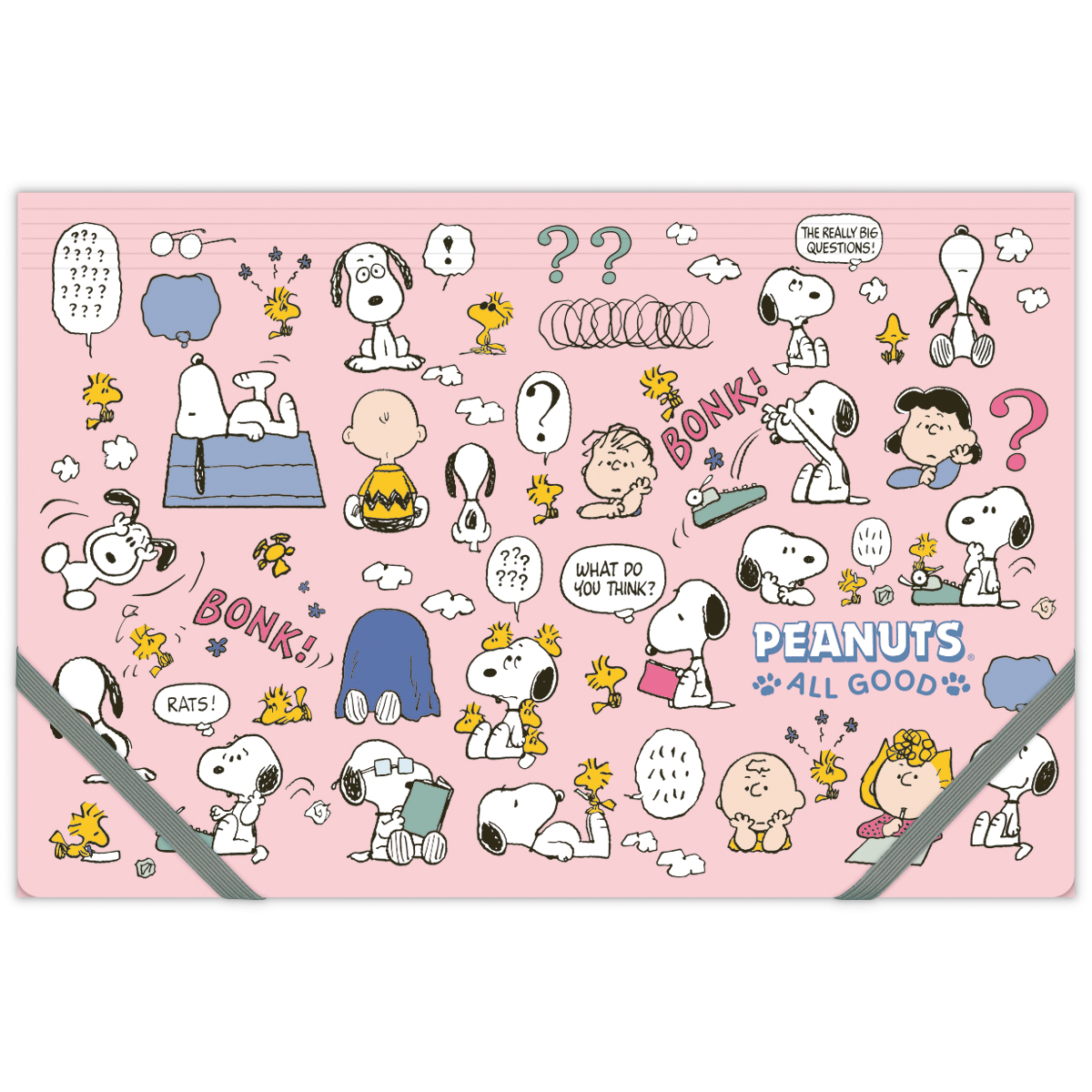 PEANUTS スヌーピー クリアフォルダ SNAG-THINK