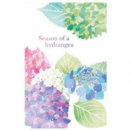 はがき箋6冊セット Season of a hydrangea