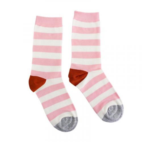 caroline gardner  Socks  / PK ストライプ