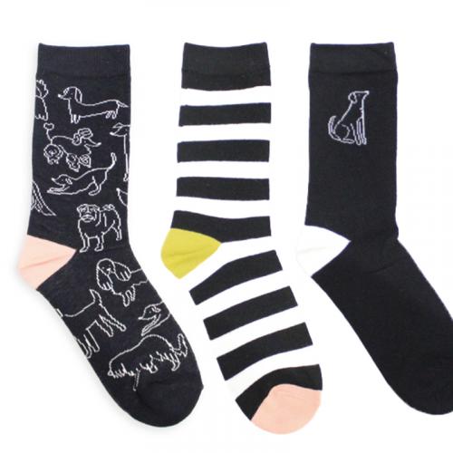 caroline gardner  Socks 3枚組 / BK DOG