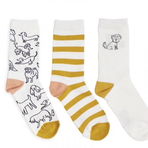 caroline gardner  Socks 3枚組 / WH DOG