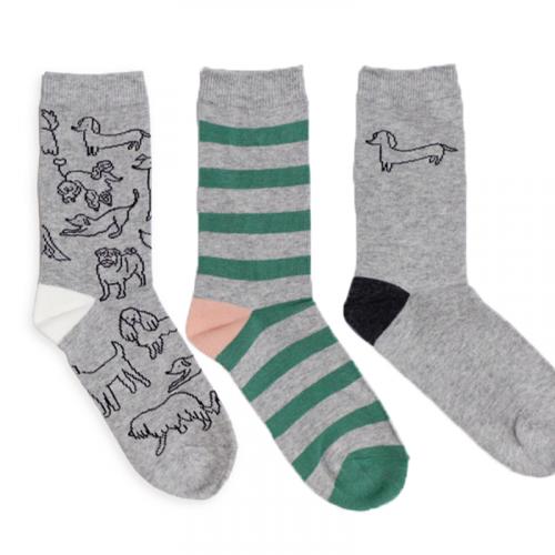 caroline gardner  Socks 3枚組 / GY DOG